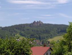 Resize of Talpa 022.jpg